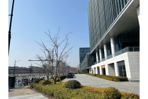 【深度好文】专家宋兵《城市更新之好房子建设与装配式装修》演讲精要